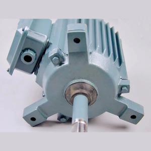 風(fēng)機(jī)專(zhuān)用電機(jī)